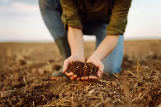 Hands holding dehydrated, cracked earth showing severe moisture loss and ground contraction.