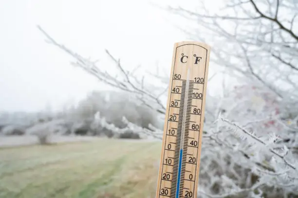 Wooden outdoor thermometer displaying sub-freezing temperatures surrounded by frost-covered branches during an extreme cold snap.